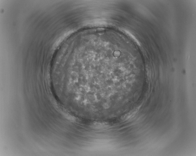 X0000071330487200607141909