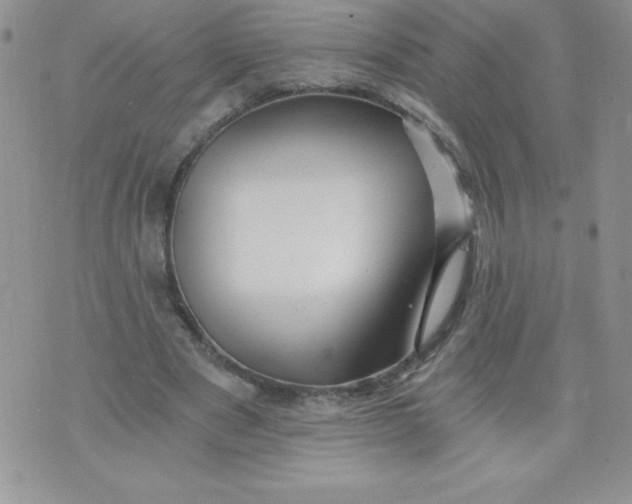 X0000071330489200607141909