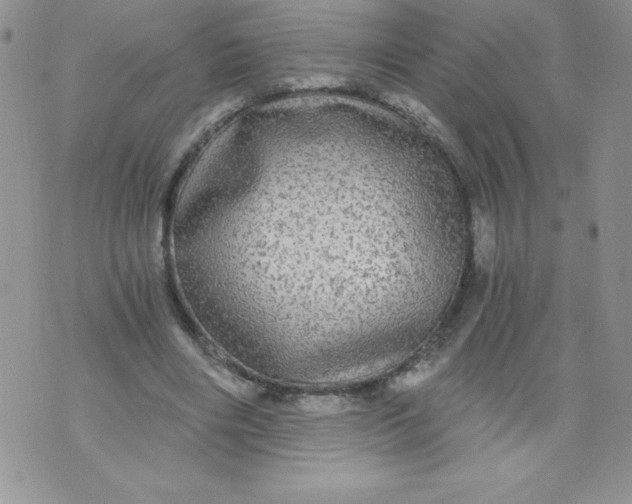 X0000071330490200607141909