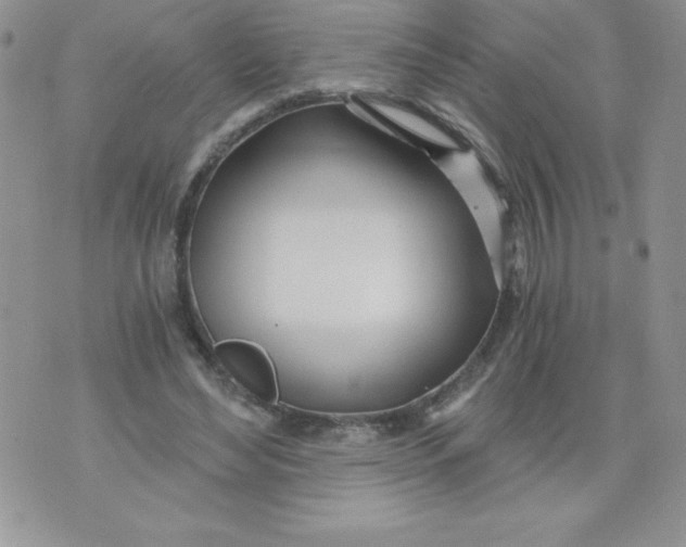 X0000071330492200607141909