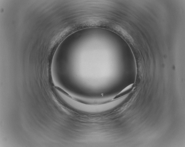 X0000071330493200607141909