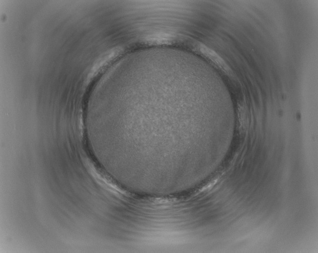 X0000071330494200607141909