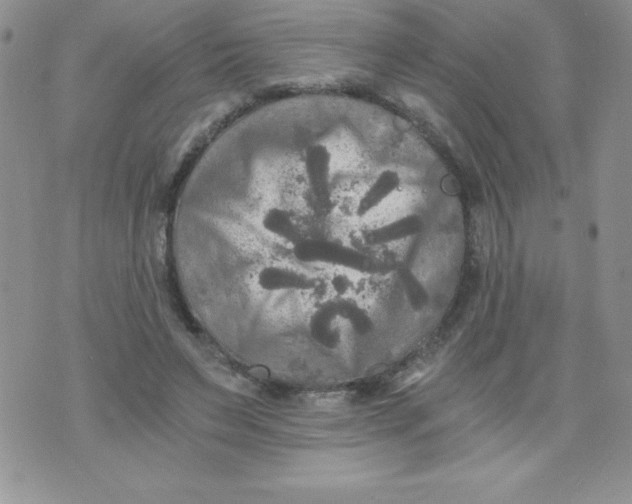 X0000071330495200607141909