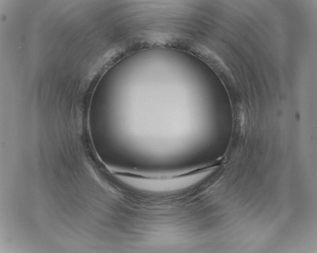 X0000071330496200607141909