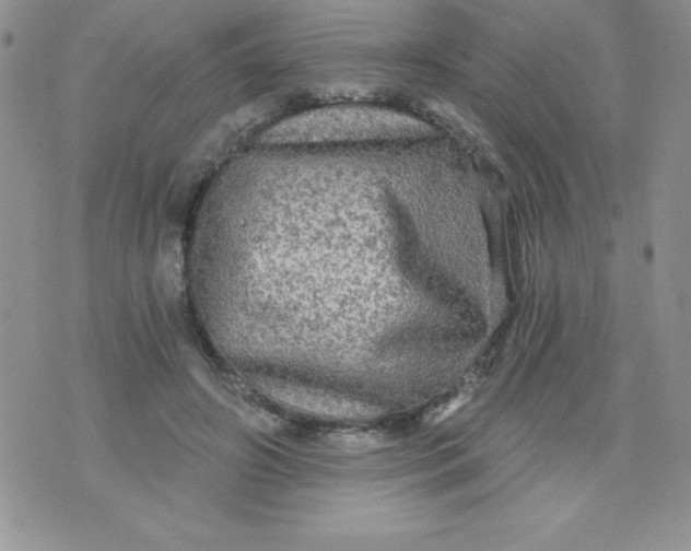 X0000071330498200607141909