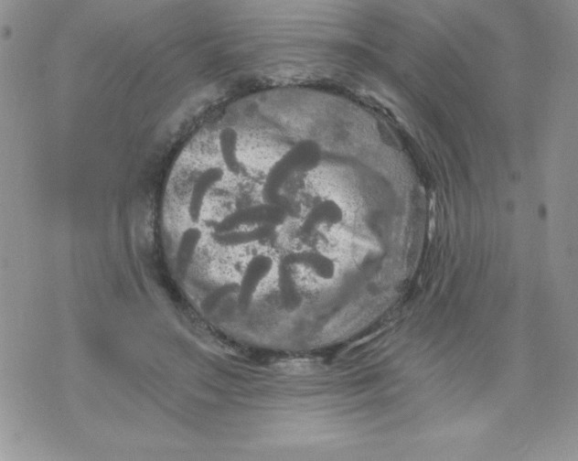 X0000071330499200607141909