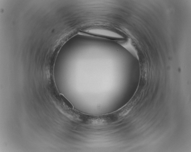 X0000071330500200607141909