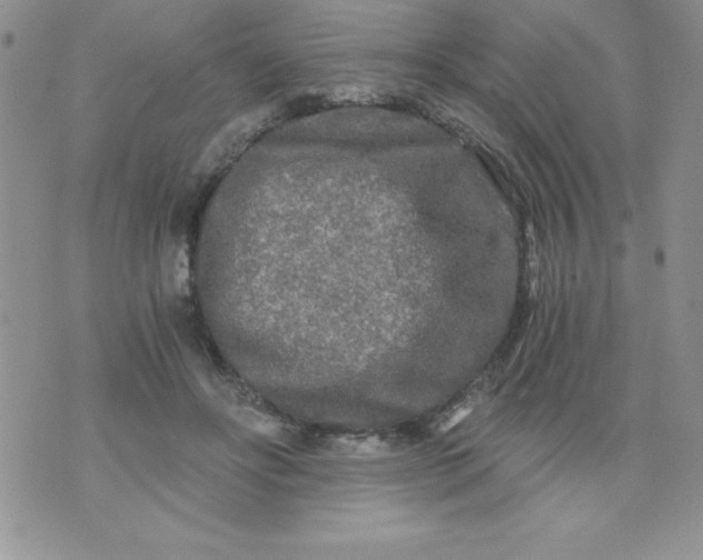 X0000071330502200607141909