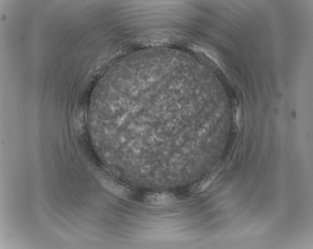 X0000071330503200607141909