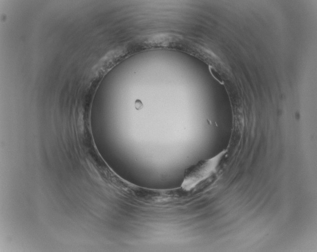 X0000071330504200607141909