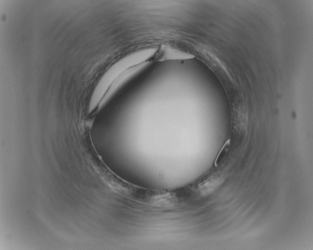 X0000071330505200607141909