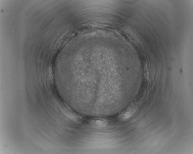 X0000071330506200607141909