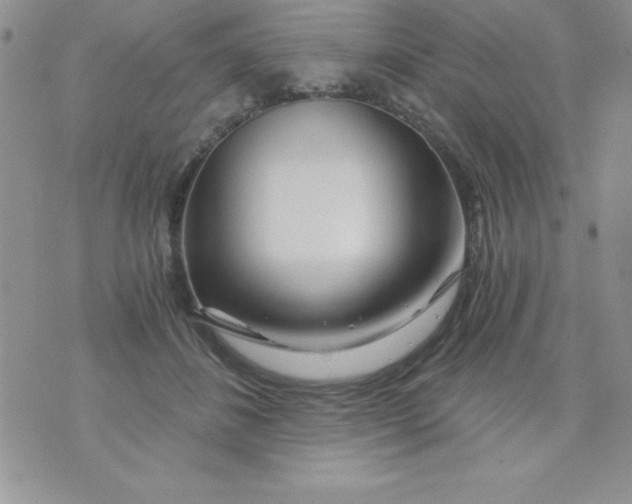 X0000071330508200607141909