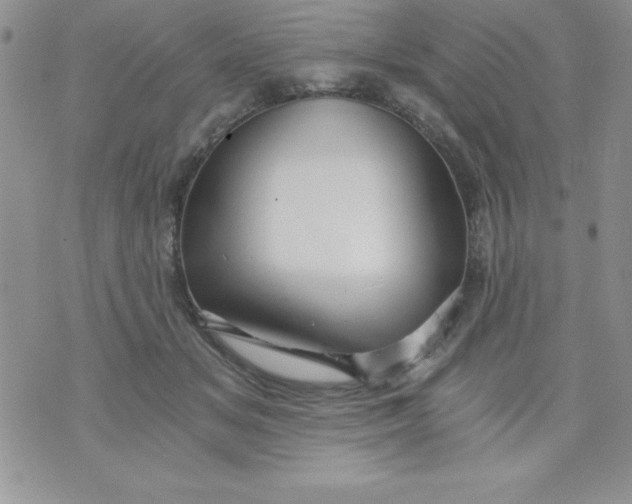 X0000071330509200607141909