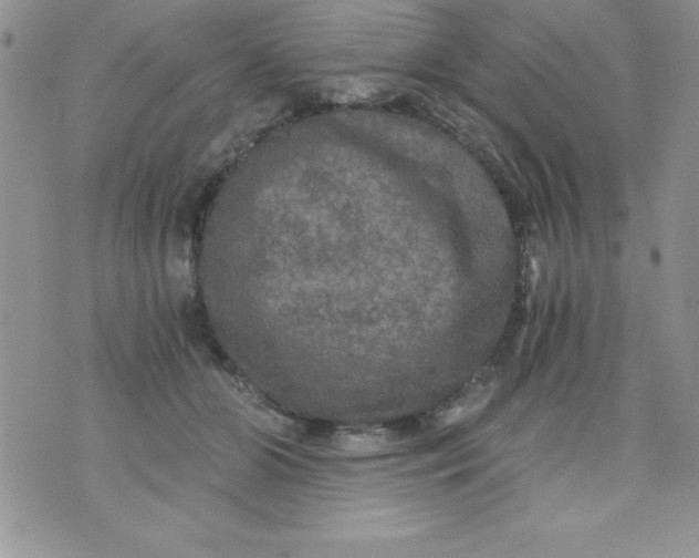 X0000071330510200607141909