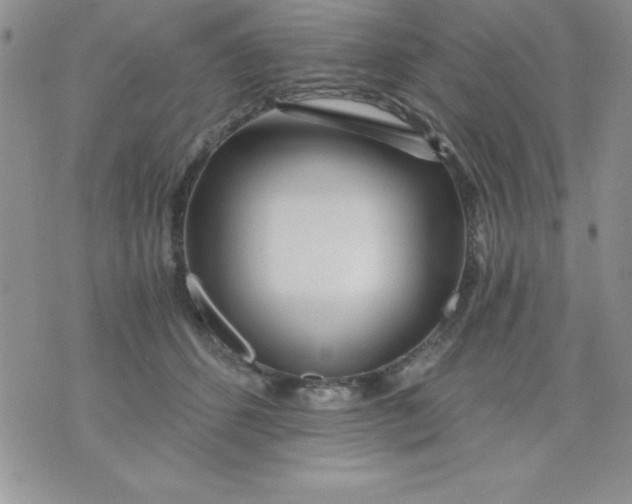 X0000071330512200607141909