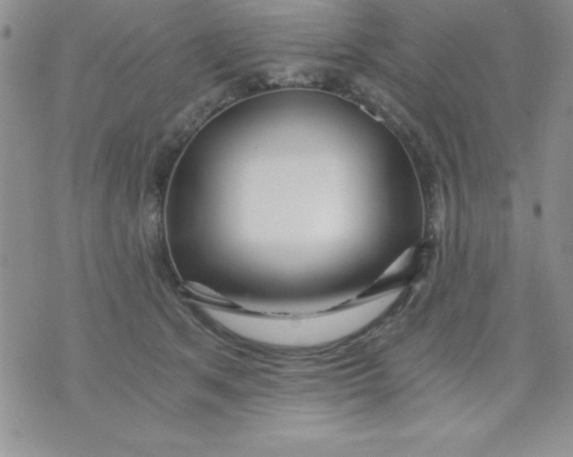 X0000071330513200607141909