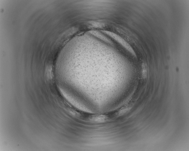 X0000071330514200607141909