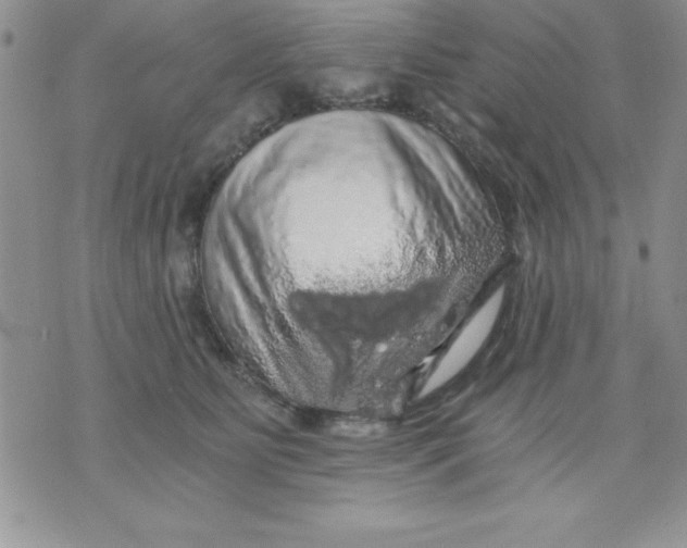 X0000071330515200607141909