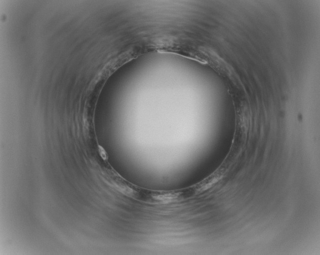 X0000071330516200607141909