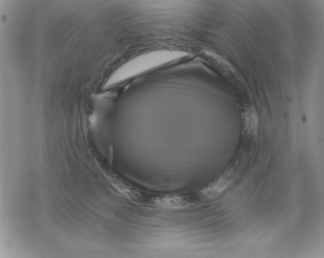 X0000071330517200607141909