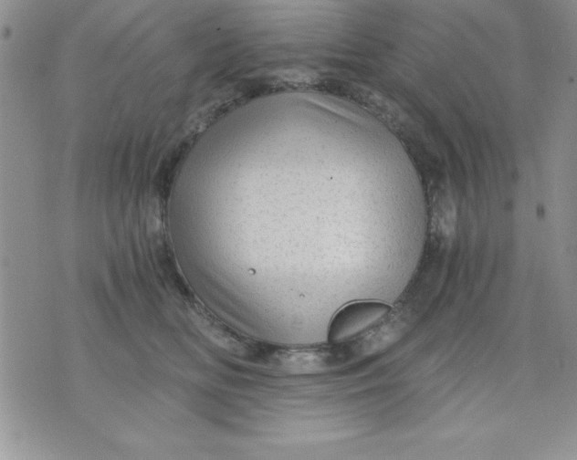 X0000071330518200607141909