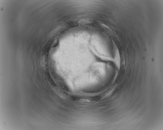 X0000071330519200607141909