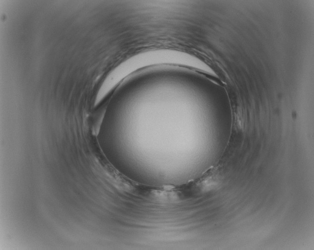 X0000071330520200607141909