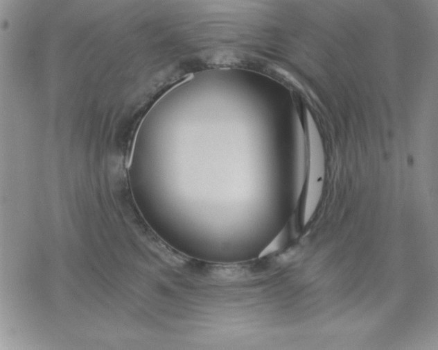 X0000071330521200607141909