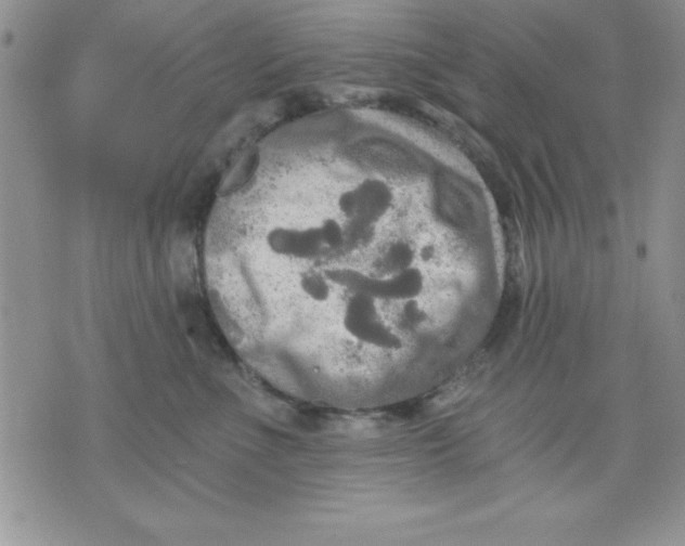 X0000071330523200607141909