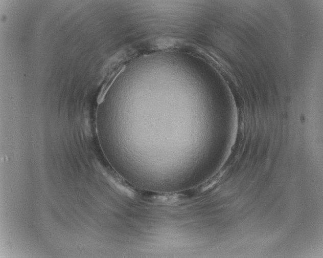 X0000071330524200607141908