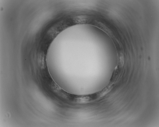 X0000071330525200607141908