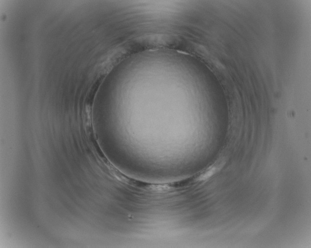 X0000071330528200607141908