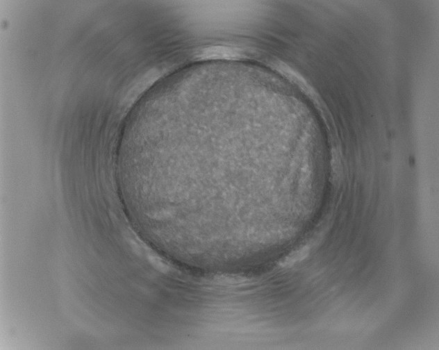 X0000071330529200607141908