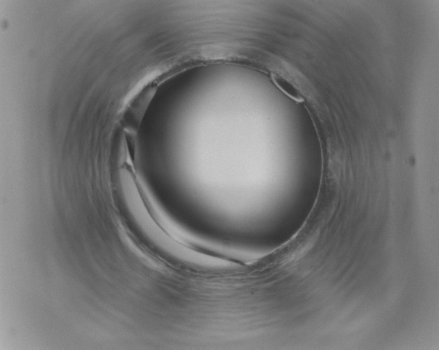 X0000071330530200607141908