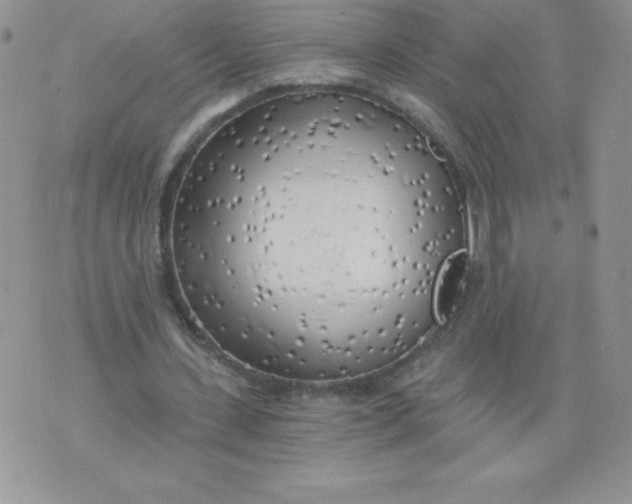 X0000071330531200607141908