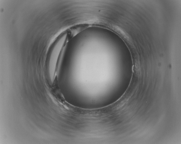 X0000071330532200607141908