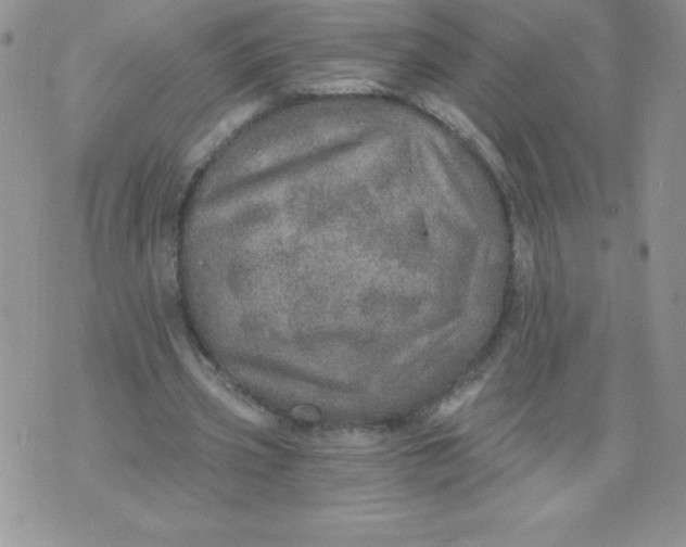 X0000071330533200607141908