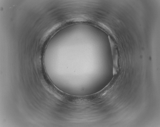 X0000071330535200607141908