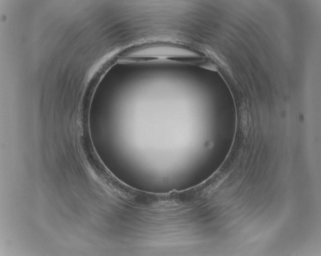 X0000071330536200607141908