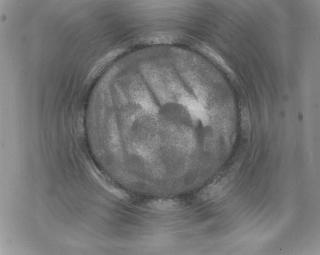 X0000071330537200607141908