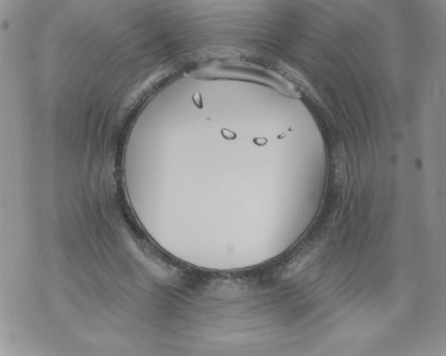 X0000071330538200607141908