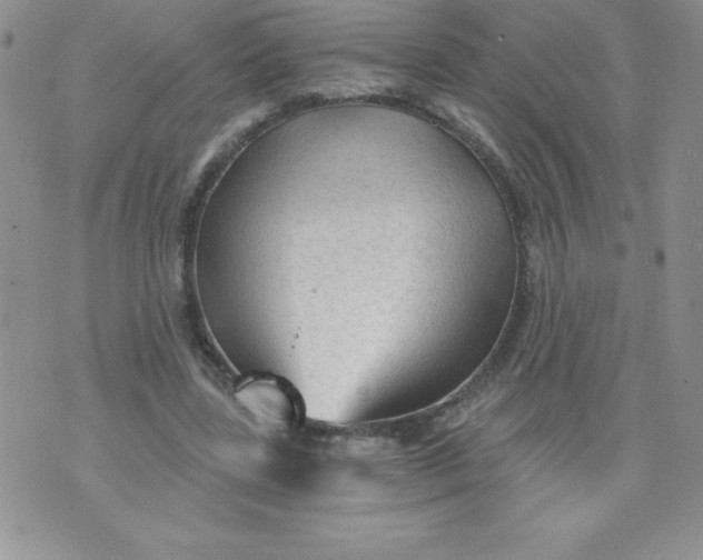 X0000071330539200607141908