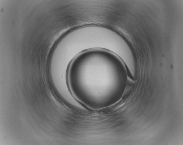 X0000071330540200607141908