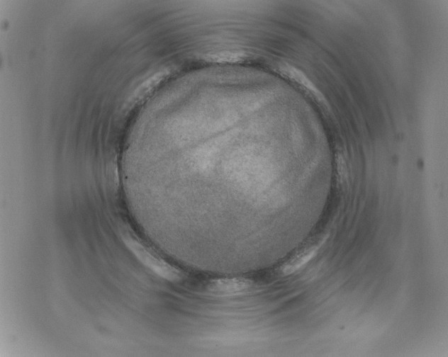 X0000071330541200607141908