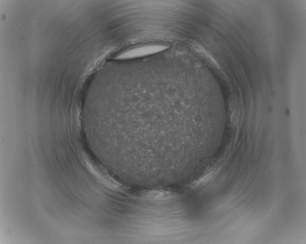 X0000071330542200607141908