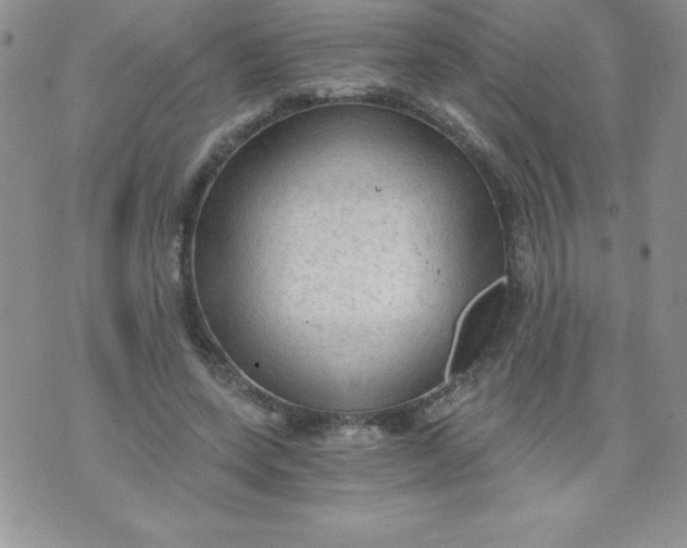 X0000071330543200607141908