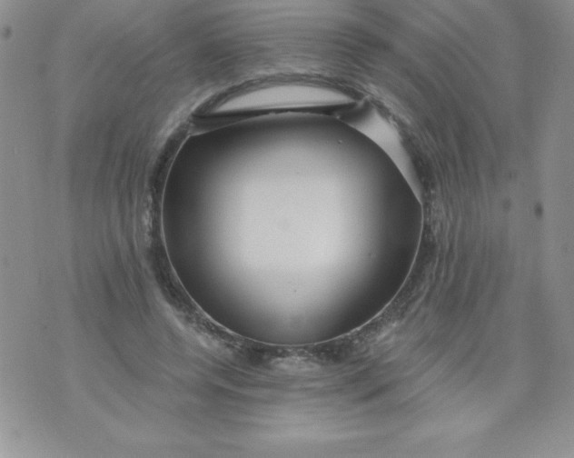 X0000071330544200607141908