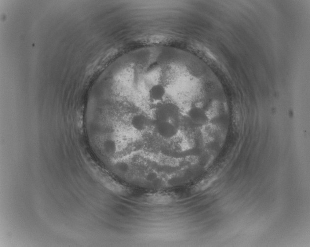 X0000071330545200607141908