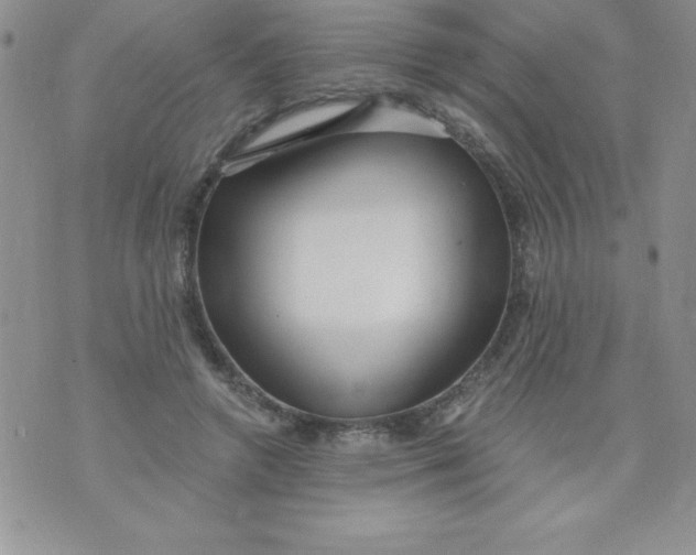 X0000071330546200607141908